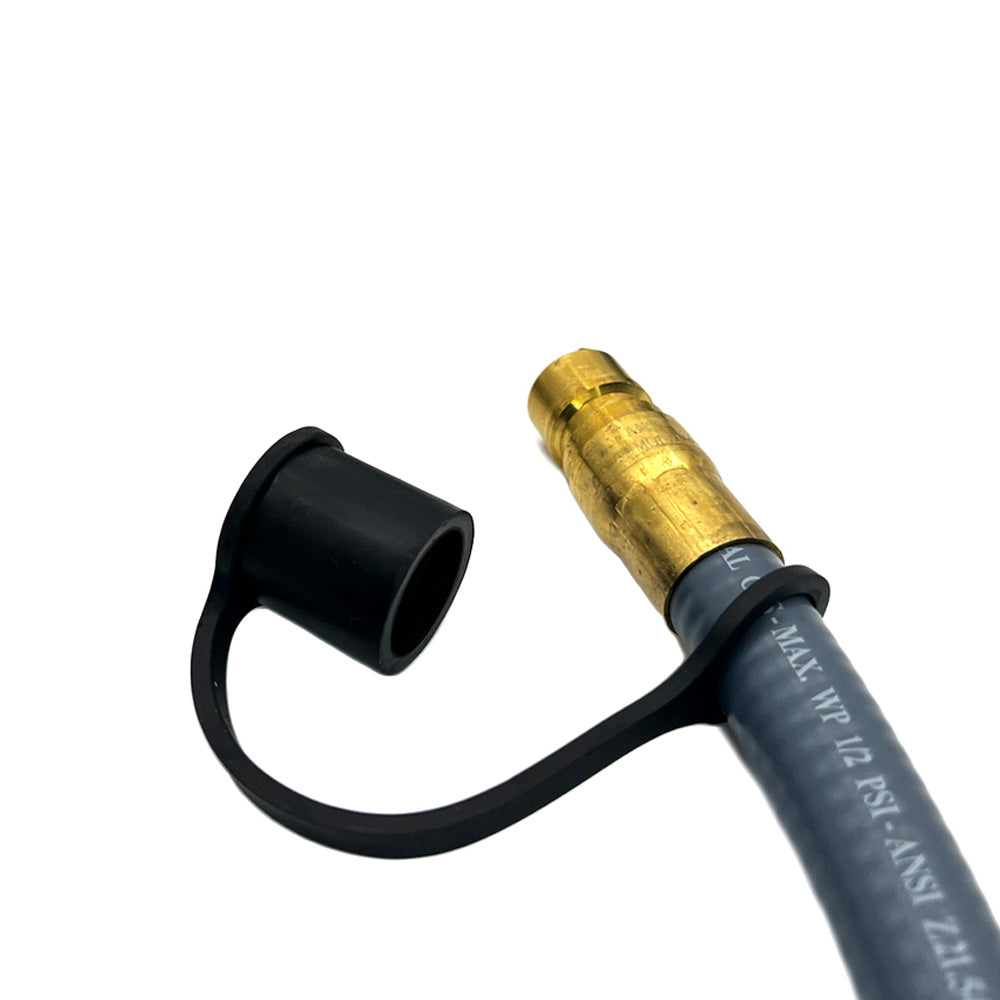 10 ft. Natural Gas Hose and Regulator Conversion Kit