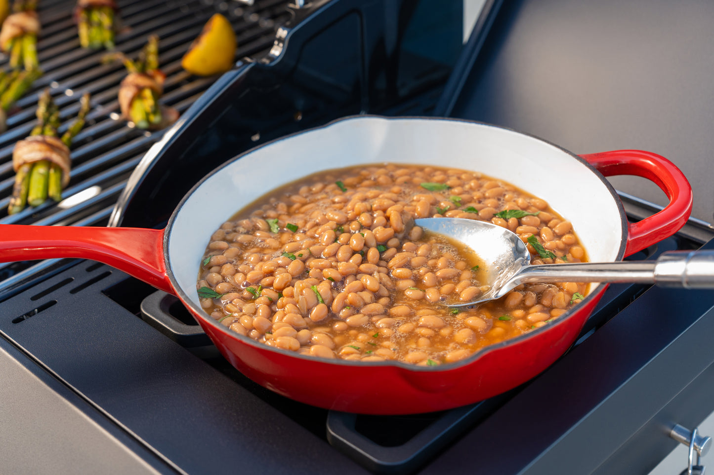 
                  
                    Spire 550X 6 Burner Dual Fuel Gas Grill with Cover
                  
                